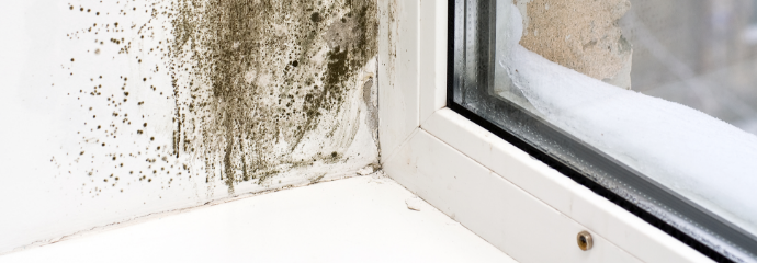 Mold-Remediation--in-Albuquerque-New-Mexico-mold-remediation-albuquerque-new-mexico.jpg-image