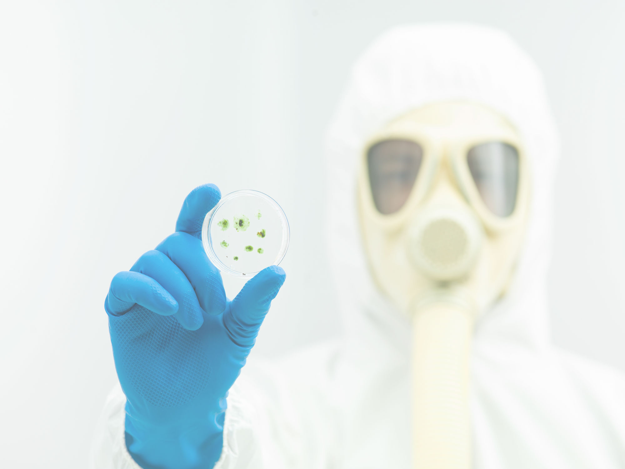 Mold-Testing--in-Albuquerque-New-Mexico-mold-testing-albuquerque-new-mexico.jpg-image